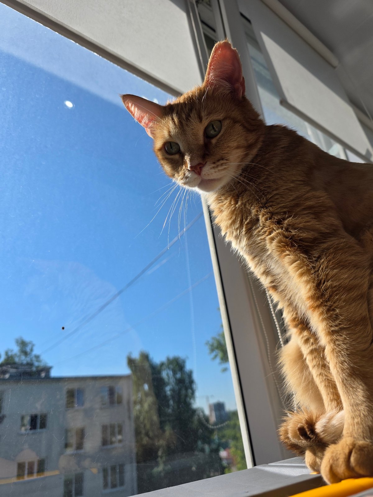 Morning life documented across Chaikovsky, Russia in 22 minutes