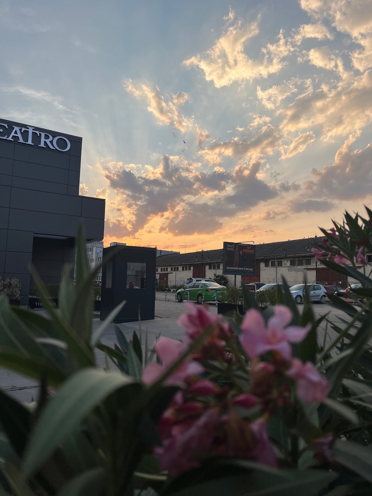 Pink oleander and golden hour at Varna's Teatro building