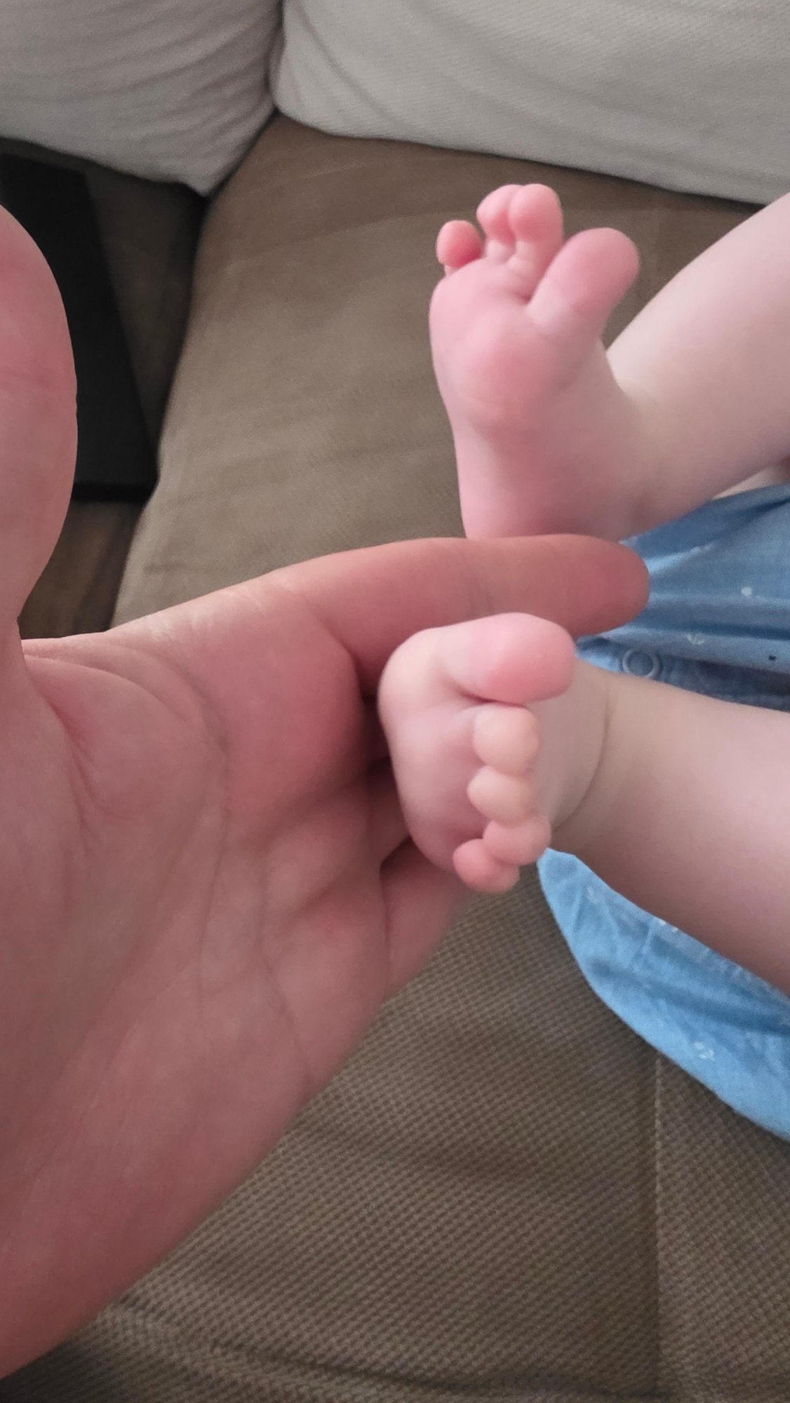 Tender moments: baby feet and glasses-wearing dog captured in Bulgaria