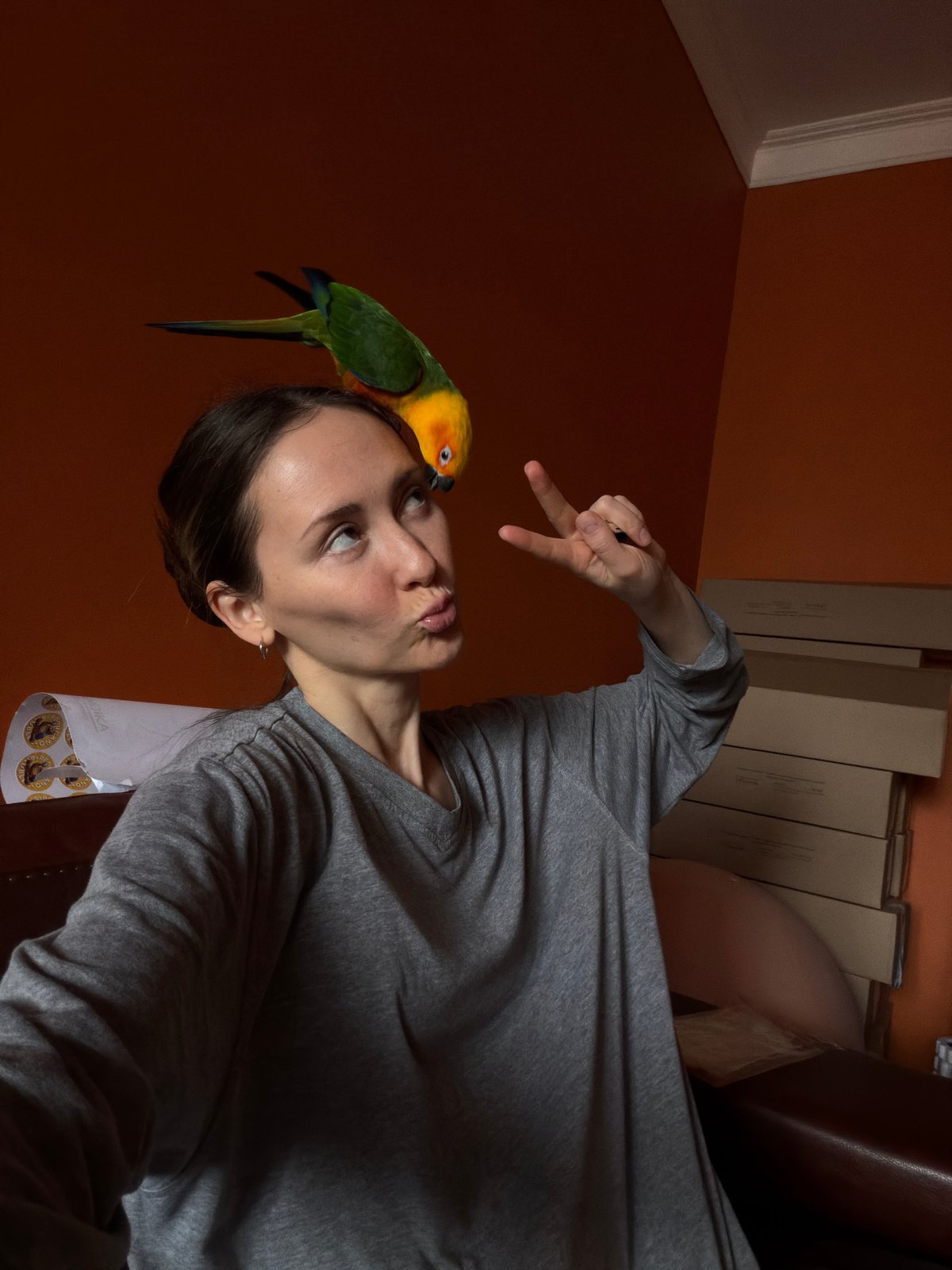 Colorful parrot perches on sleeping child's crib in Khimki