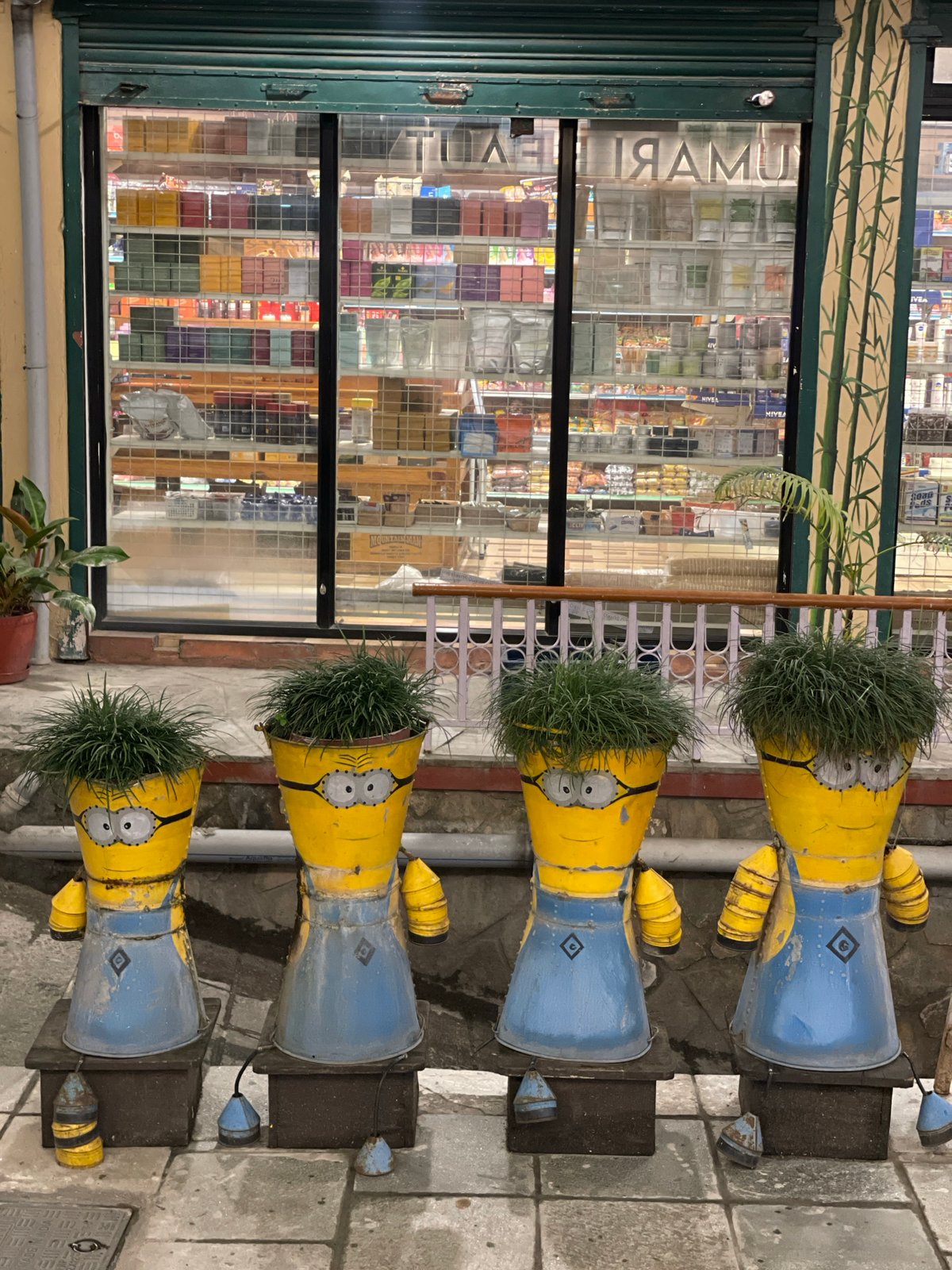Decorated storefront with Minion planters observed in Pokhara