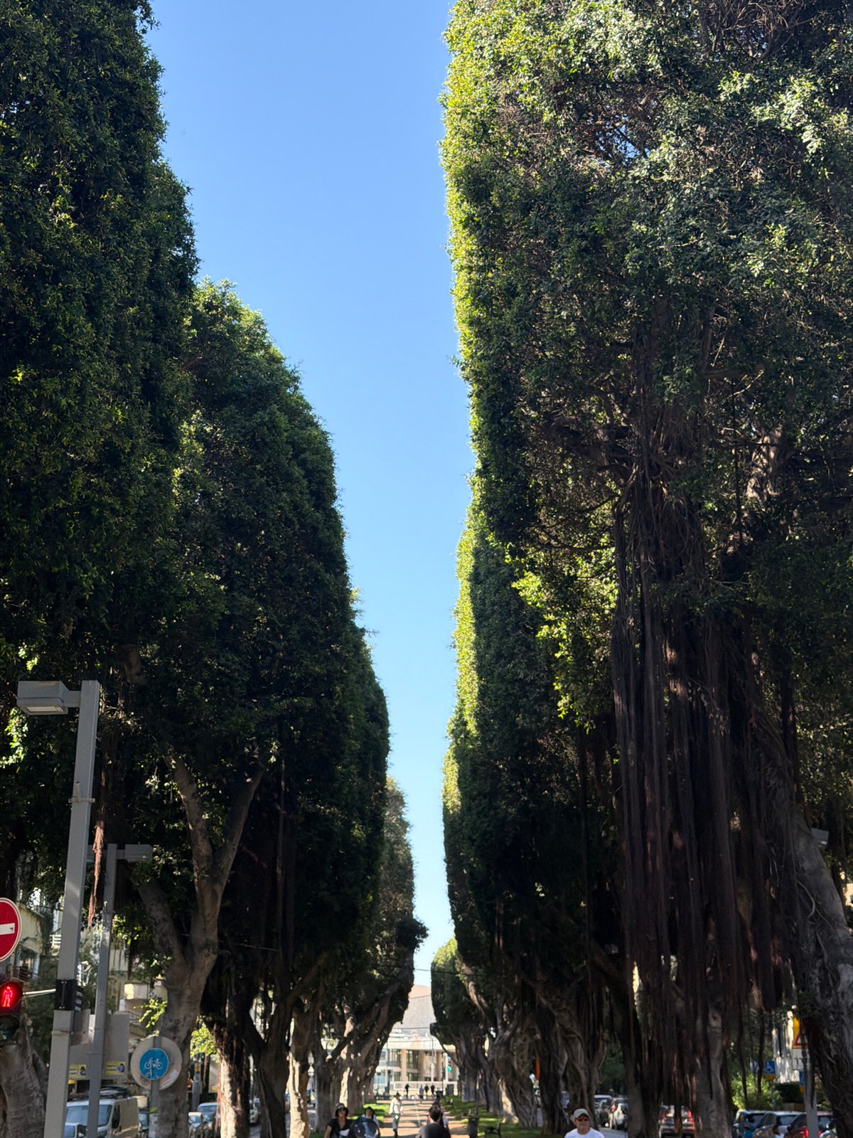 Morning scenes from Tel Aviv streets and gym documented