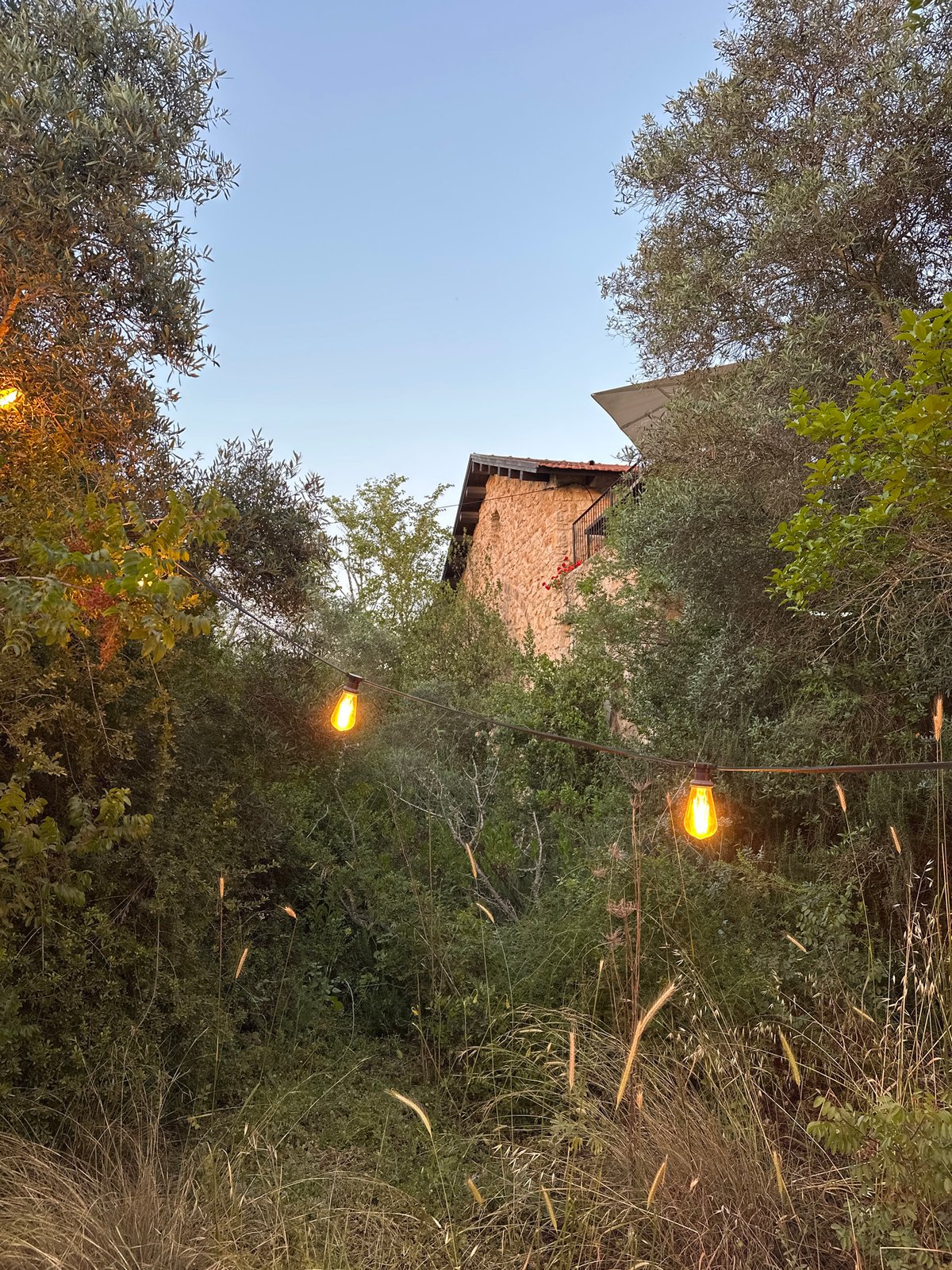 Stone building with string lights observed in Hof HaCarmel