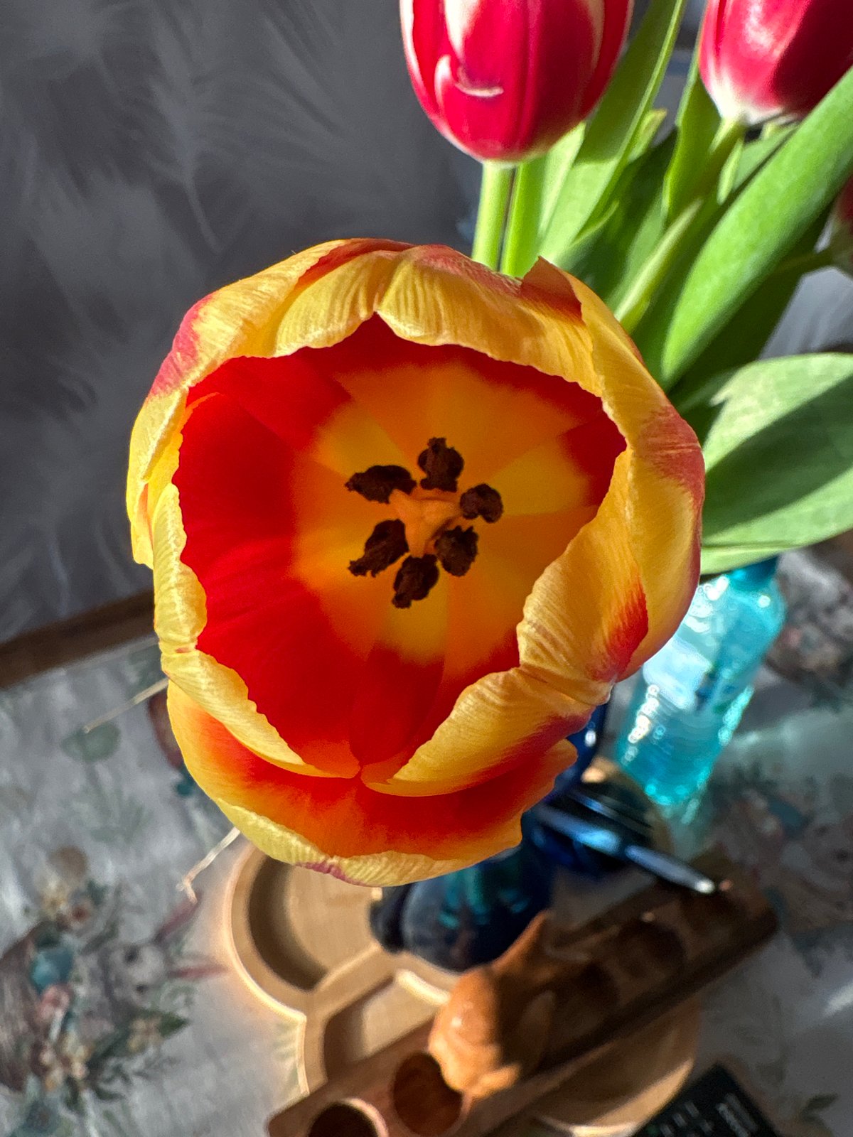 Spring tulip photography session captured in Bulgarian home