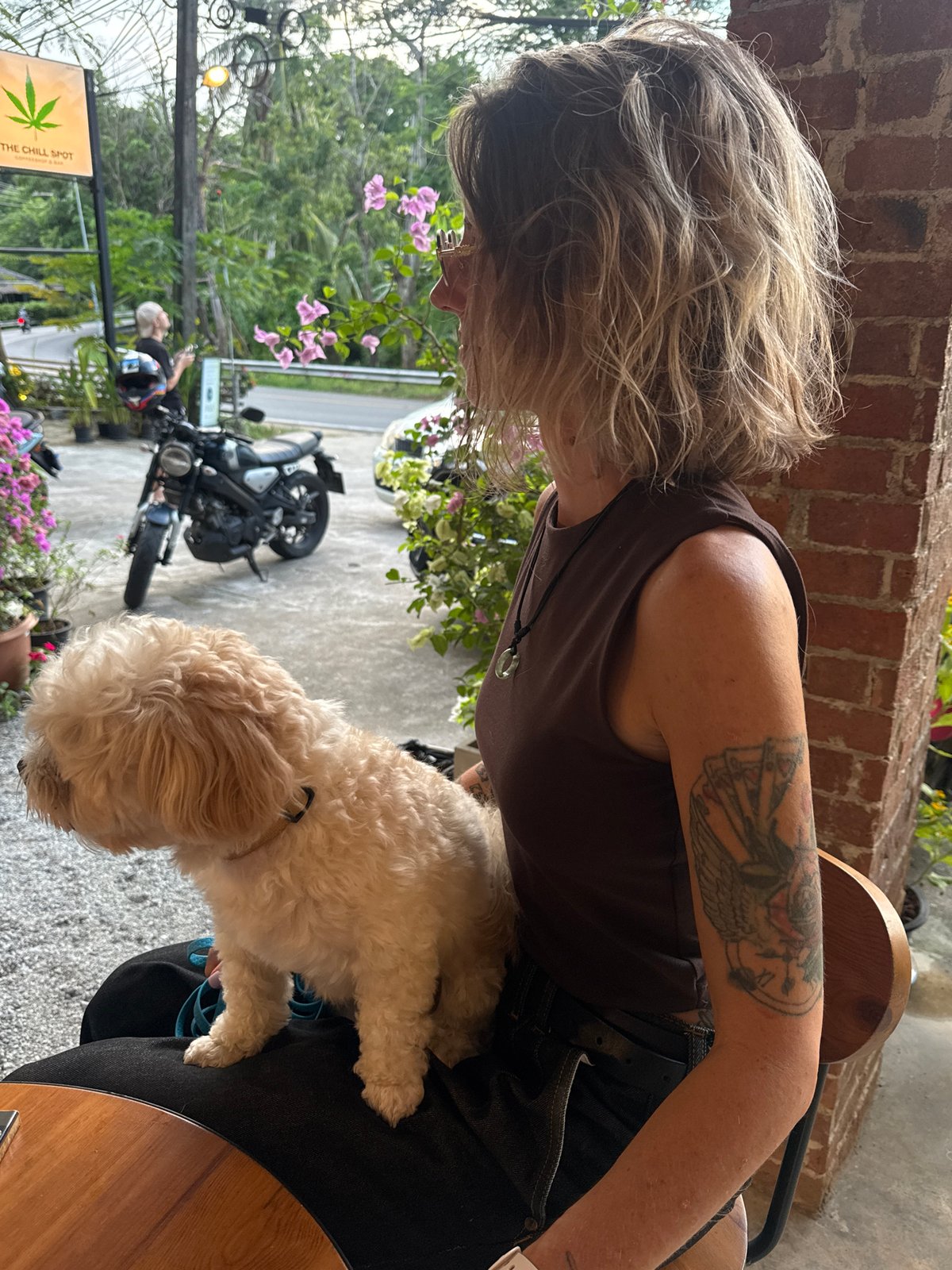Lazy morning in Karon: a cute dog, pool, and ocean views