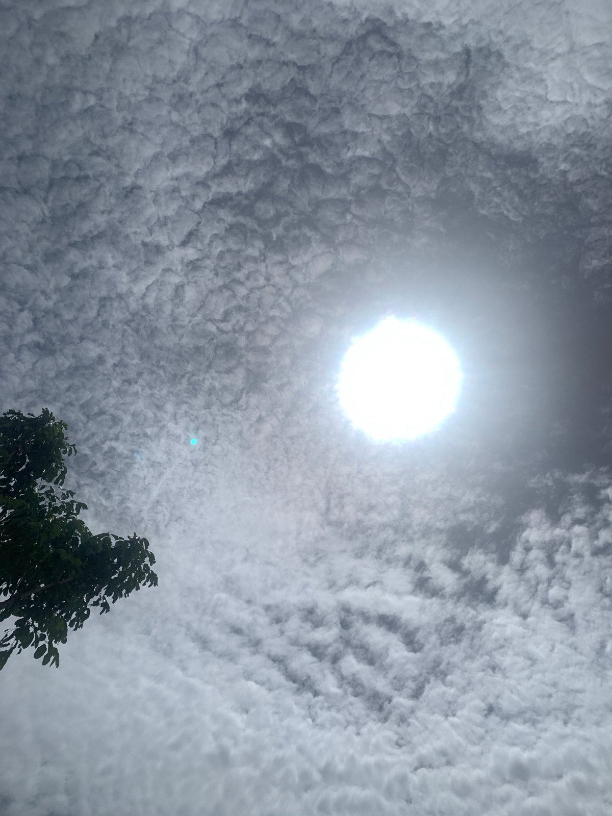Midday skies and sprouting seedlings in Kuru Karama, Nigeria