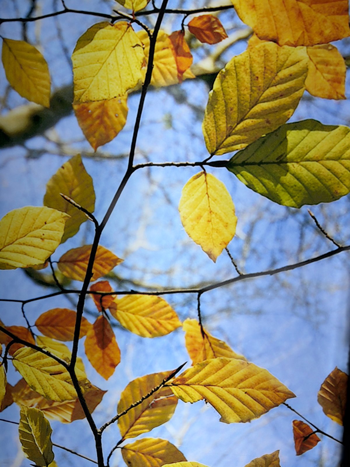 Spring moments captured across Tyumen in single minute