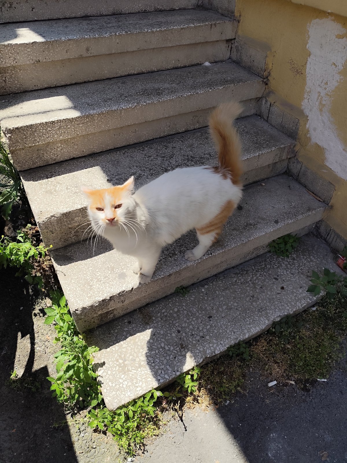 Morning life documented across Sarıyer, Turkey marina and streets