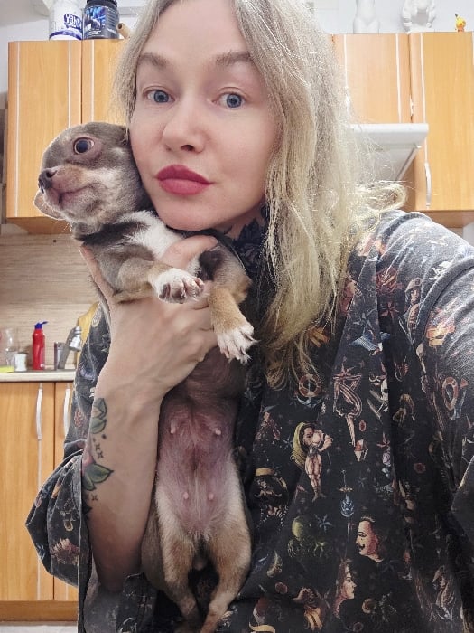 Saint Petersburg couple documents daily life with pet chihuahuas