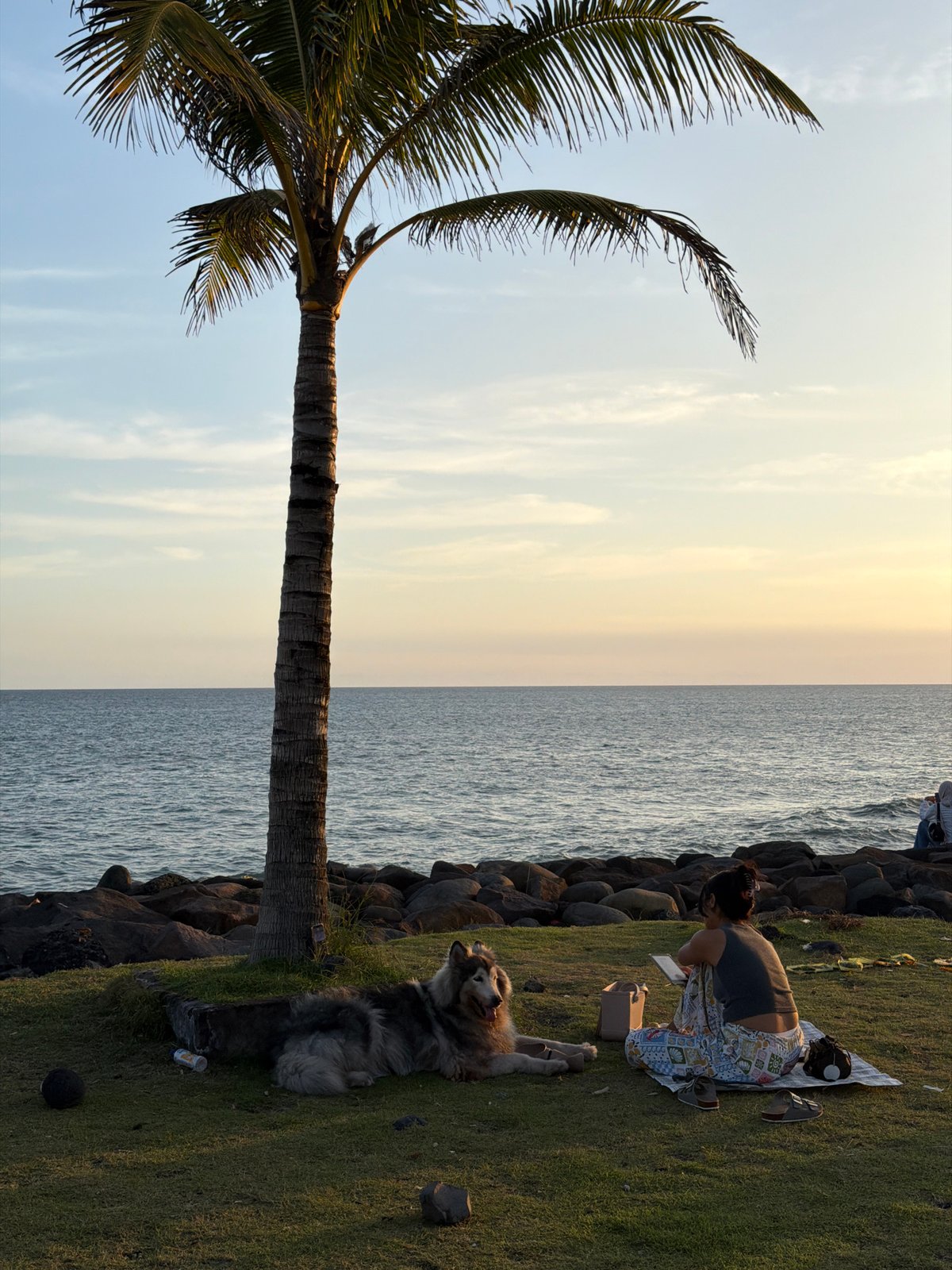 Tourist activities documented across Mengwi beaches during morning hours
