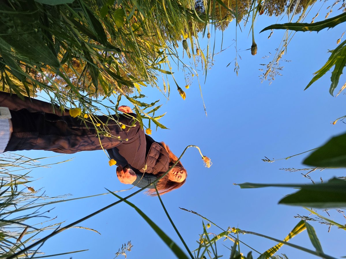 Sunset photo session documented in Russian field