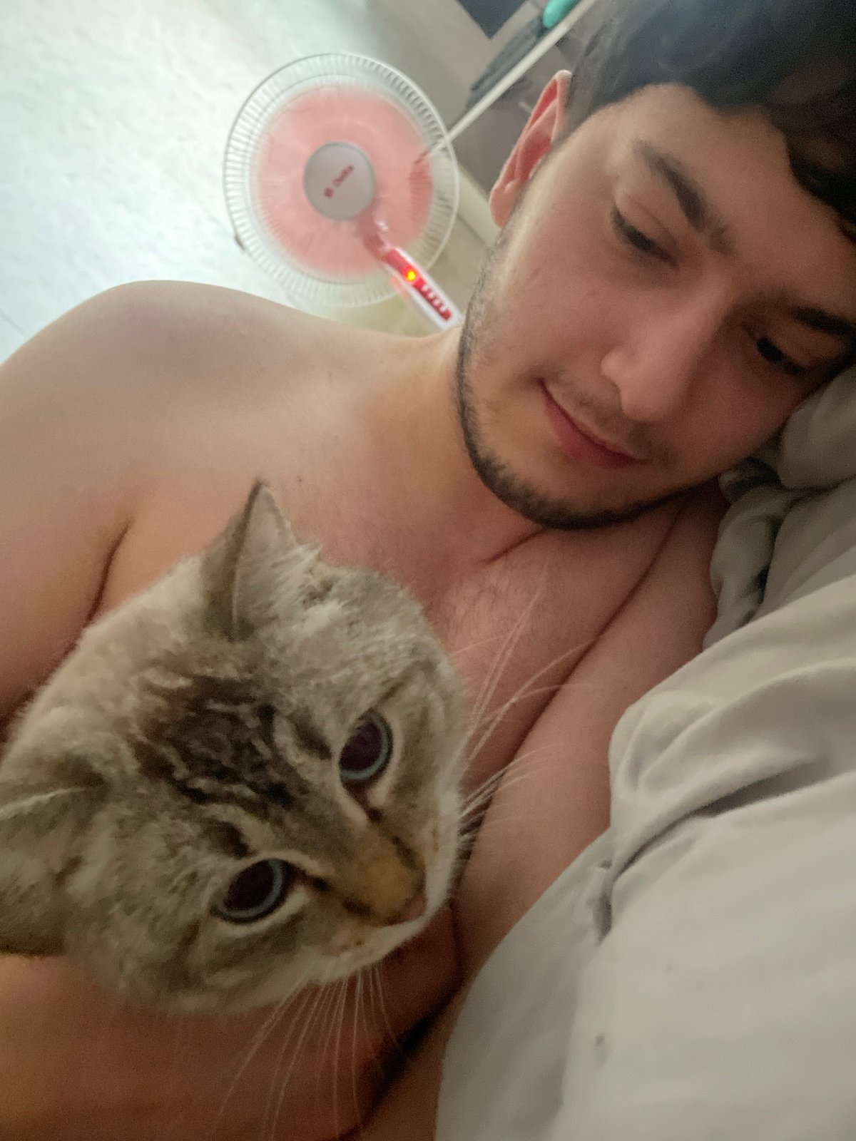 Lazy morning in Votkinsk with cats, tea, and a rabbit