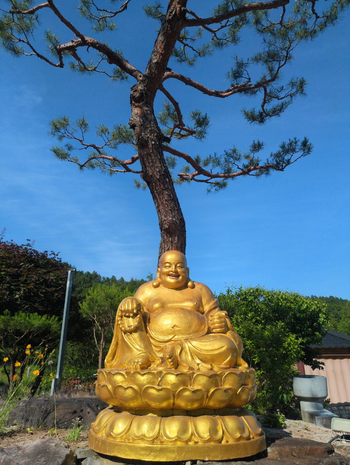 Buddhist temple complex documented in Godang-ri, South Korea