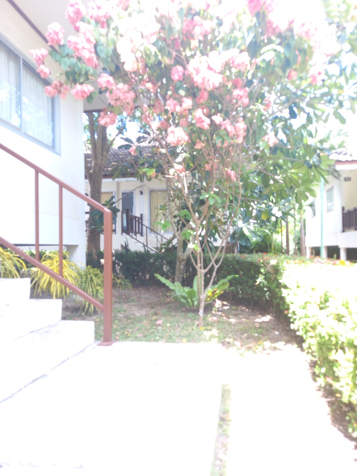 Lazy morning at a Baan Mae Nam guesthouse, breakfast done