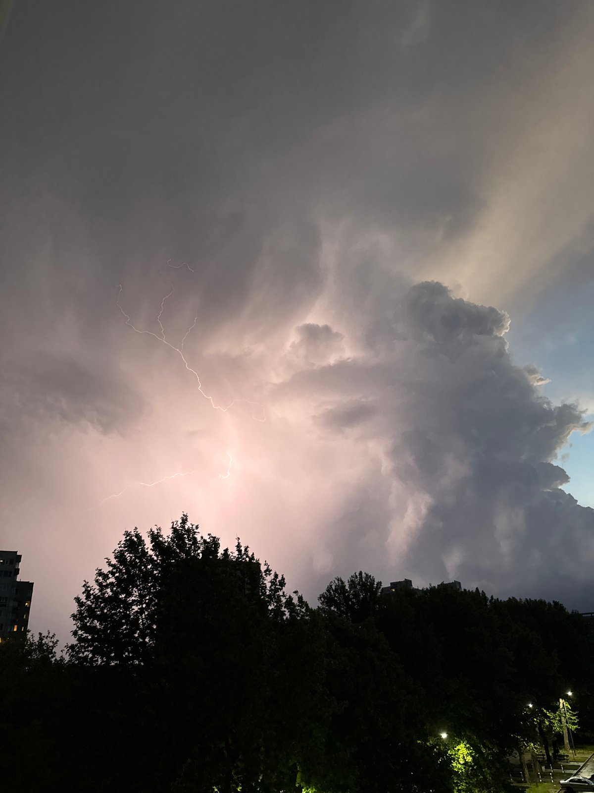 Lightning storm hits Varna while city gardens bloom