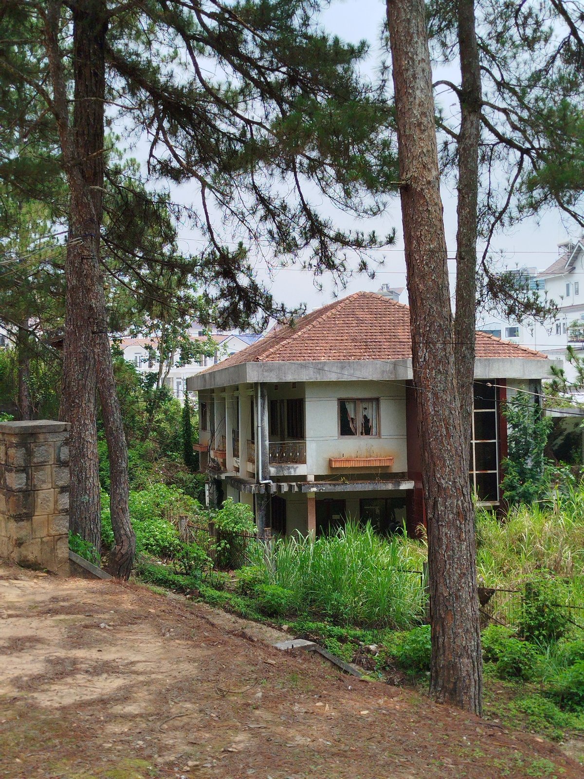 Morning walk through Da Lat's residential neighborhoods documented