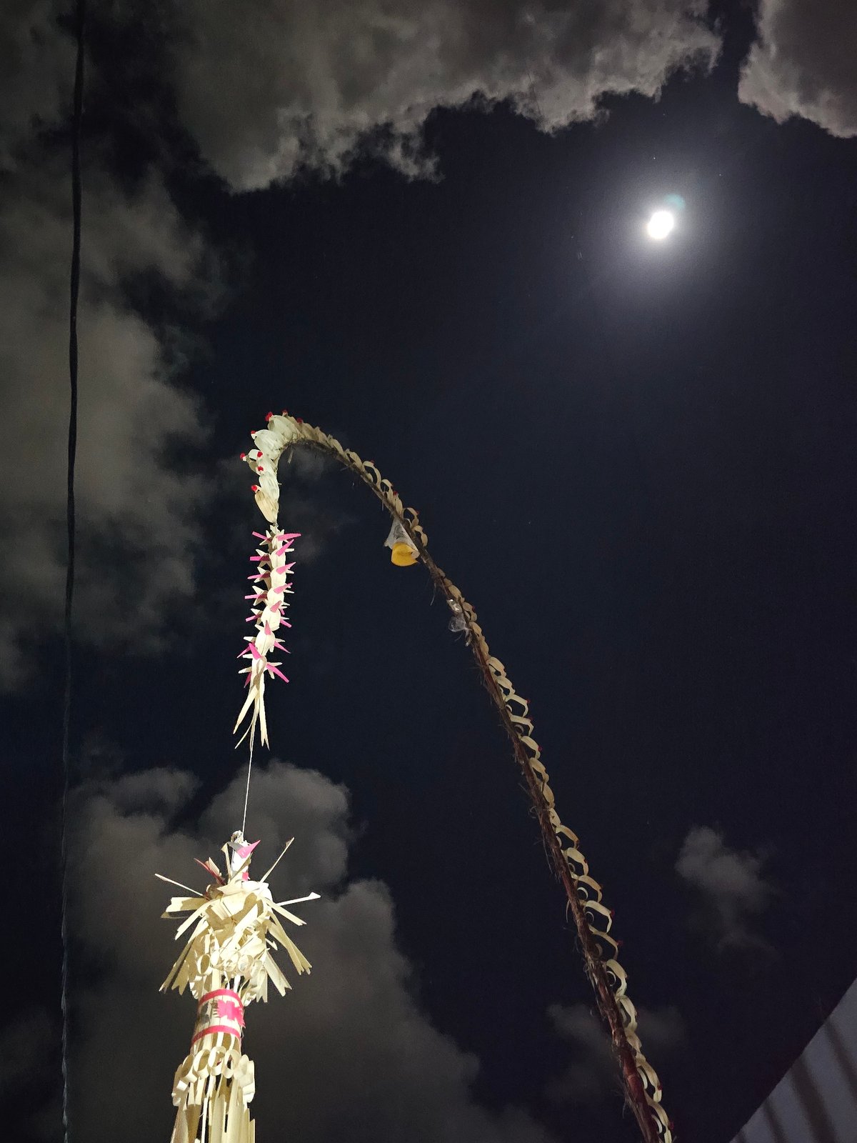 Full moon through palm fronds and clouds, Denpasar night