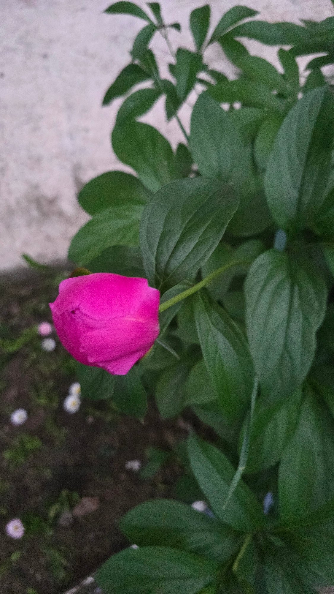 Evening life documented across Chaikovsky, Russia neighborhoods