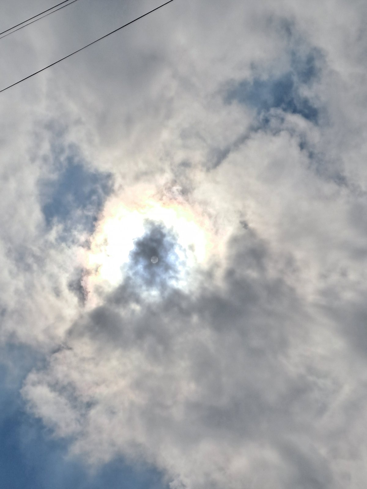 Nature observations captured in Меткомелино: cloudy skies, dandelion seeds