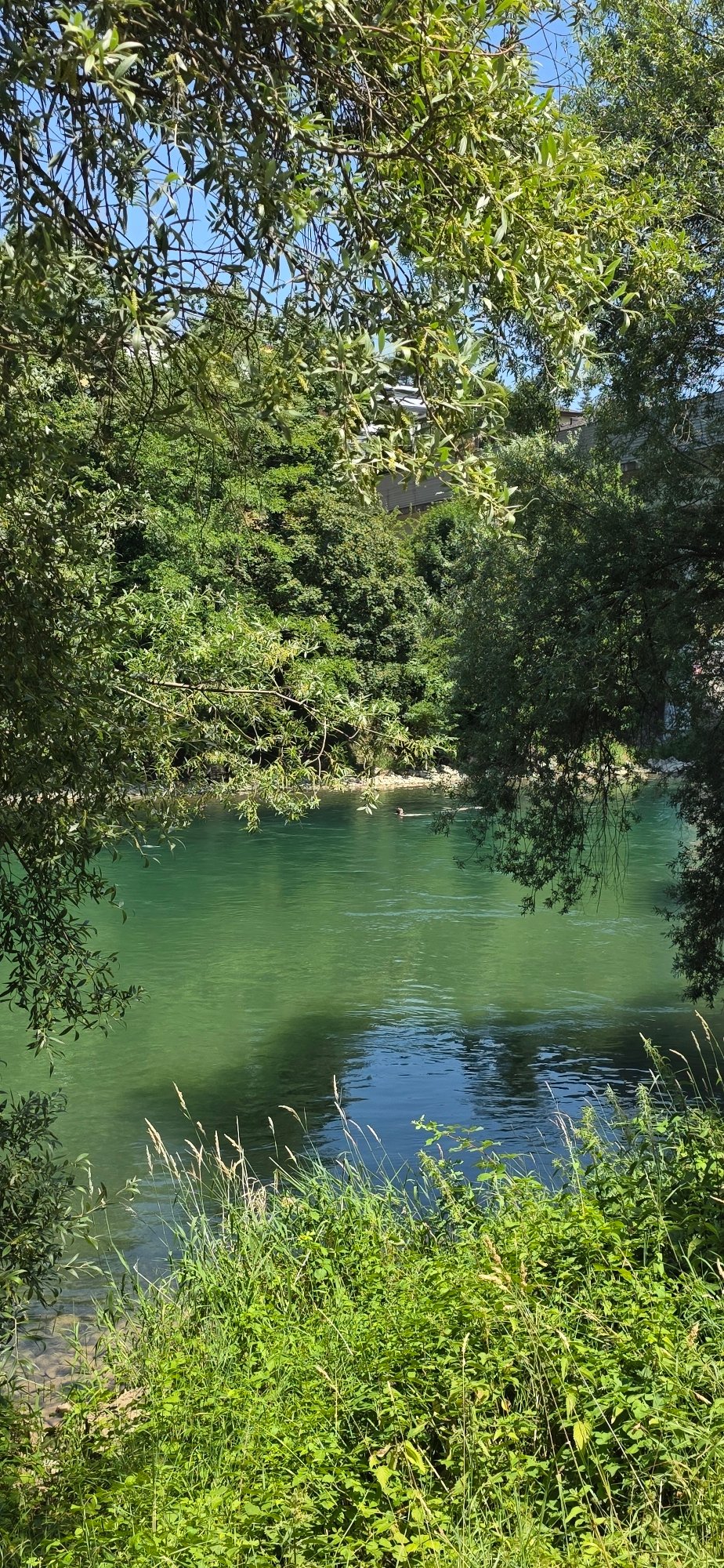 Lazy summer morning along Zurich's green riverbanks