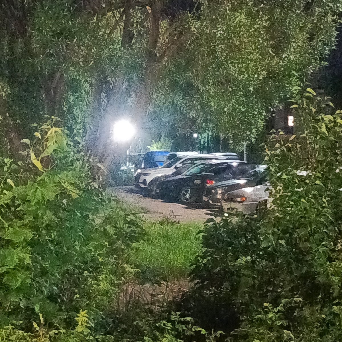 Evening scenes captured in Марковский: parking lot, pet cat