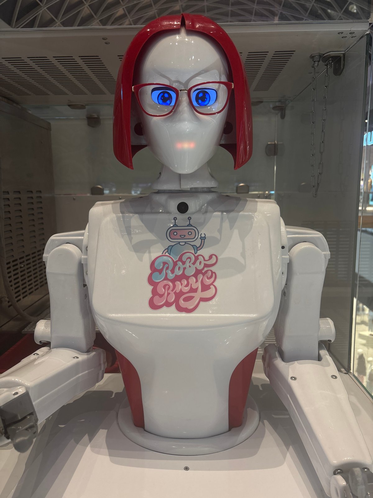 Robot display and portrait captured in Perm indoor locations