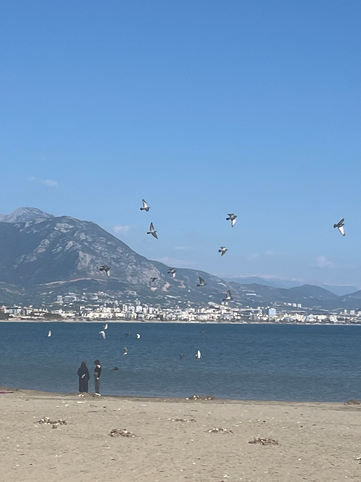 Witness documents sunny Alanya coastline and lighthouse views