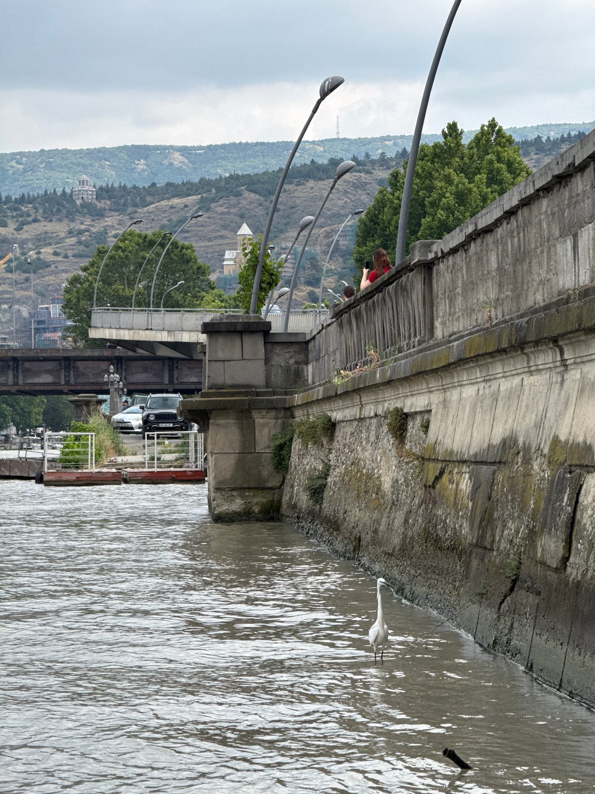 Tbilisi snapshots: river wildlife, civic architecture, and street greenery