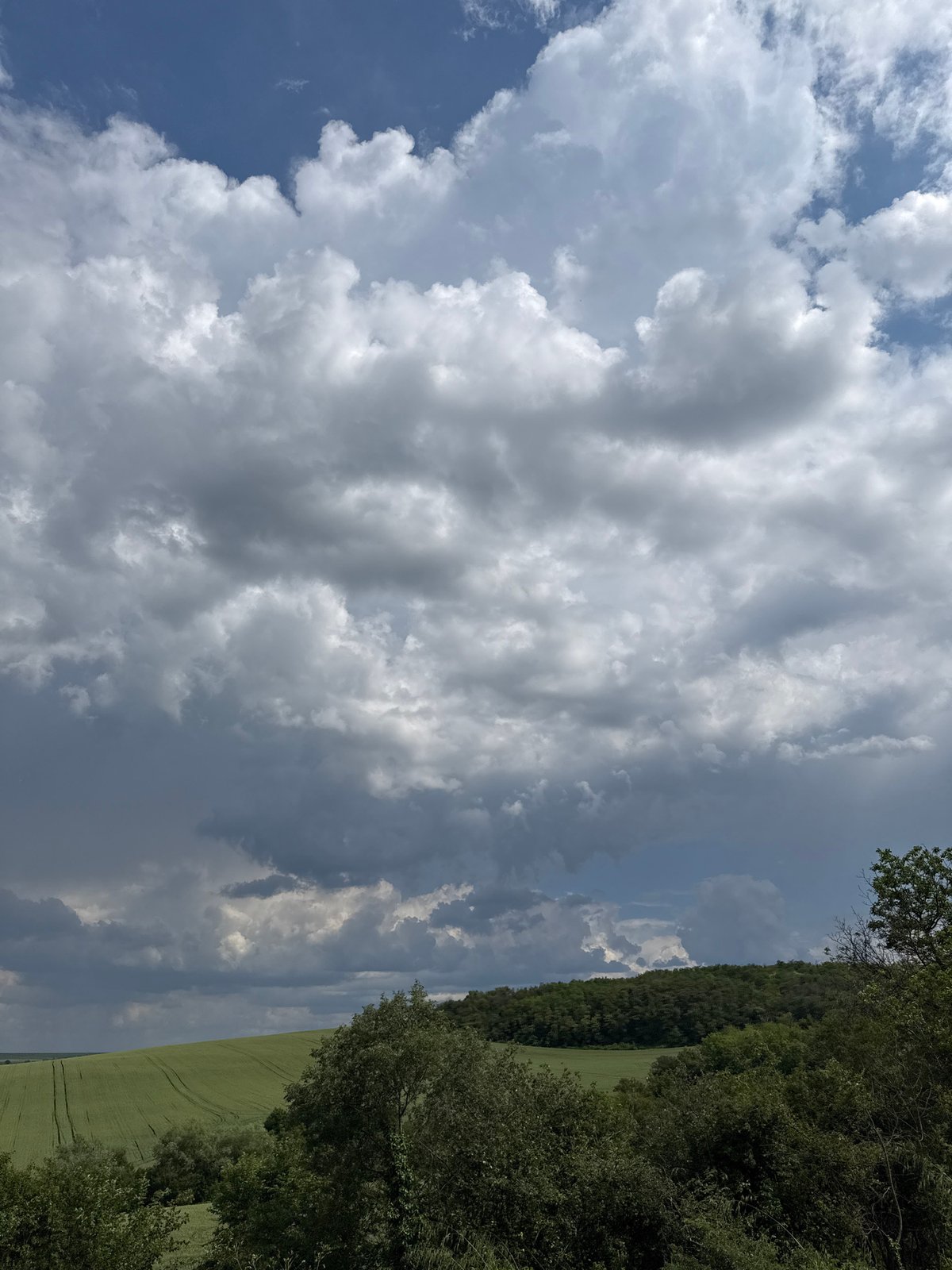 Overcast afternoon captured in Pleven, Bulgaria countryside scene