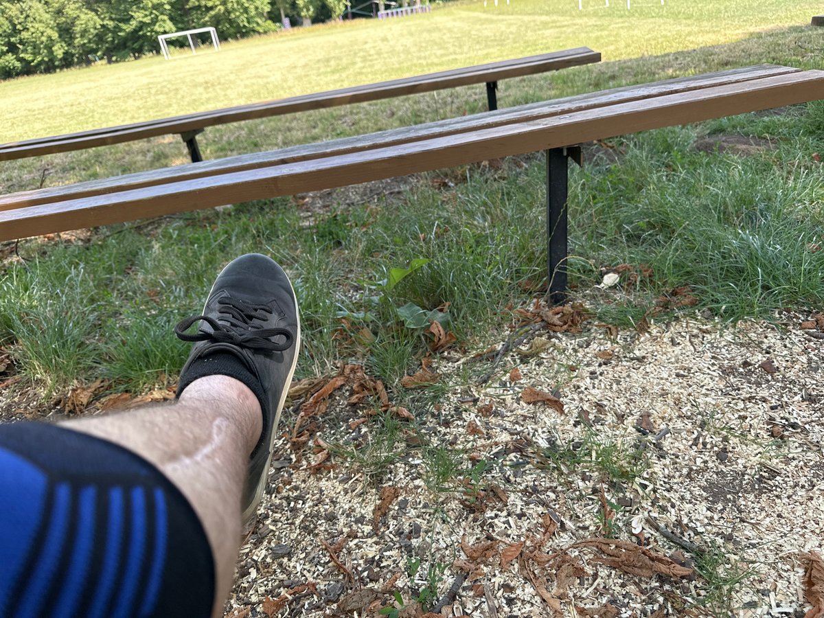 Resting in a Makiv park, leg injury visible, mid-summer day