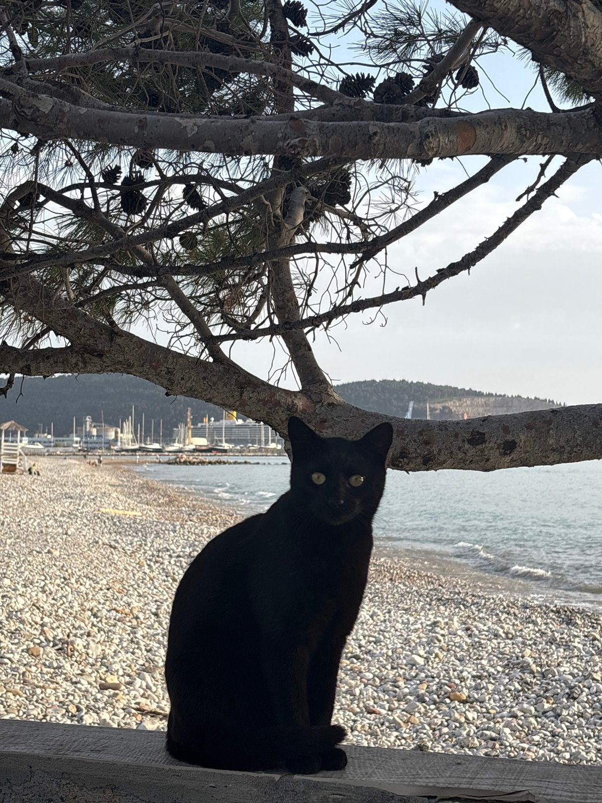 Quiet afternoon moments captured along Bar Montenegro waterfront