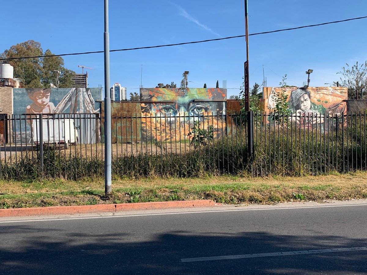 Street murals documented behind fence in Cordoba, Argentina