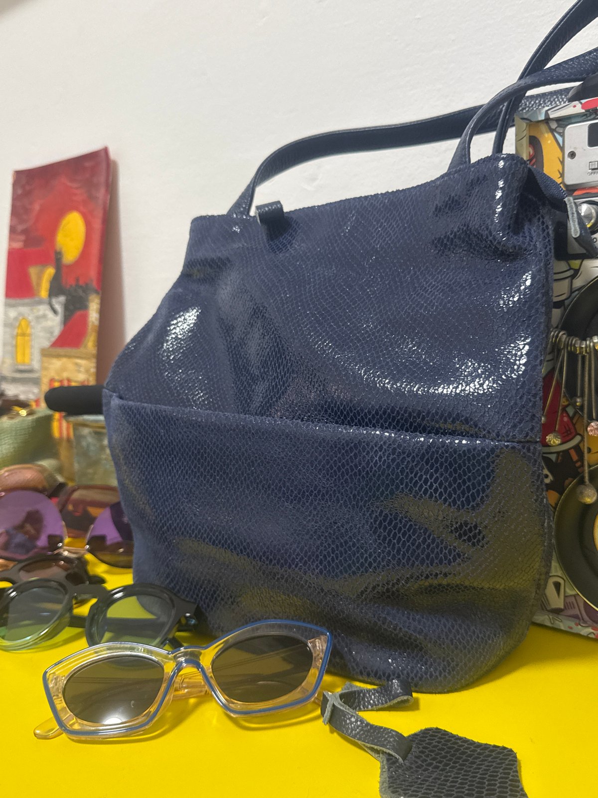 Personal items and pets documented in Ramat Gan home