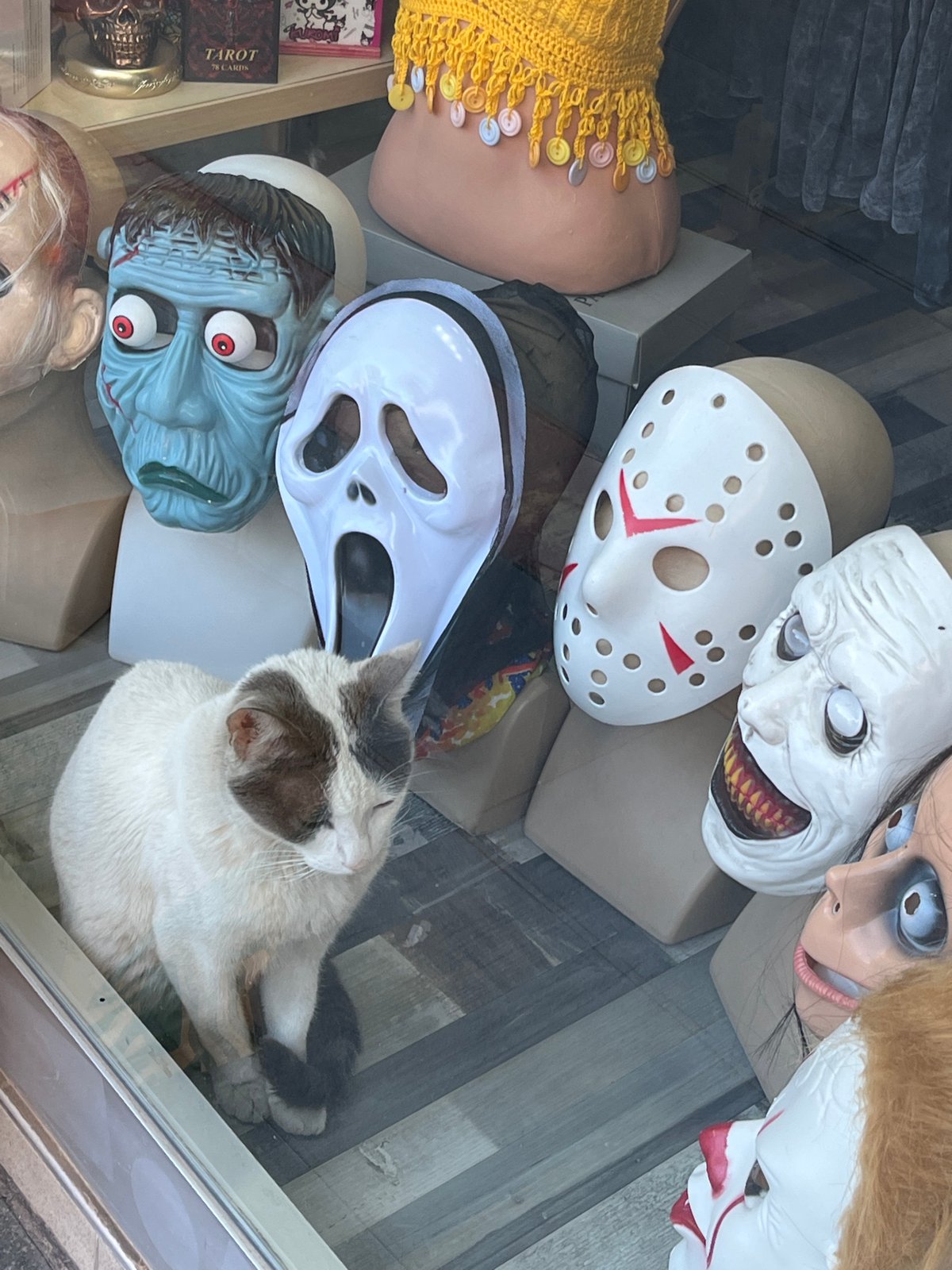 Street scenes and Halloween displays captured in Alanya, Turkey