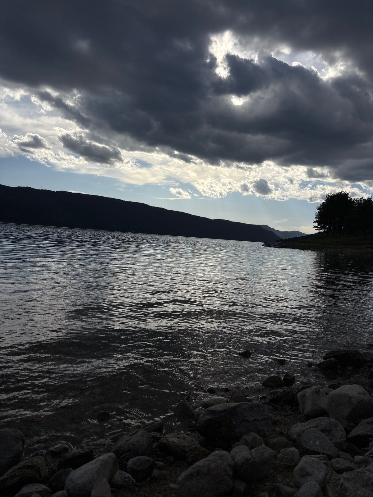 Witness documents four-hour lakeside nature photography session