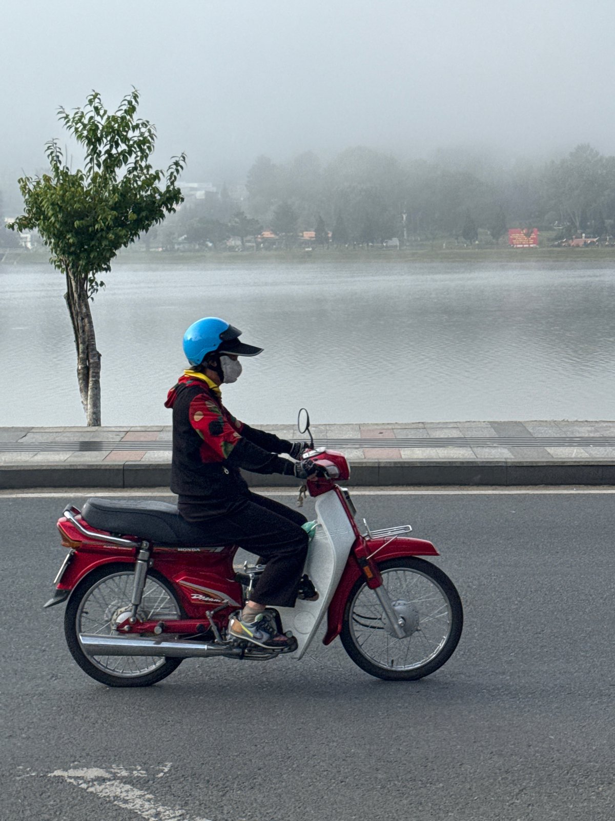 Misty morning activity along Da Lat's Xuan Huong Lake