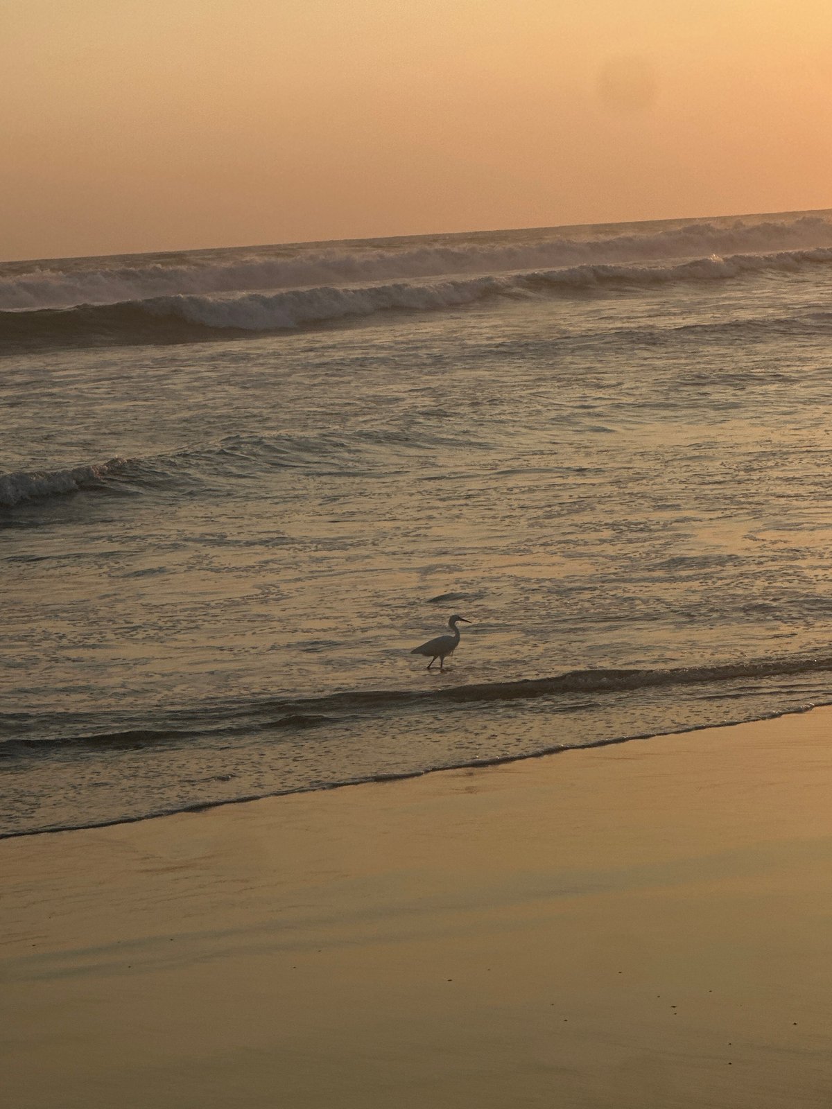 Woman takes sunset selfies on Acapulco beach