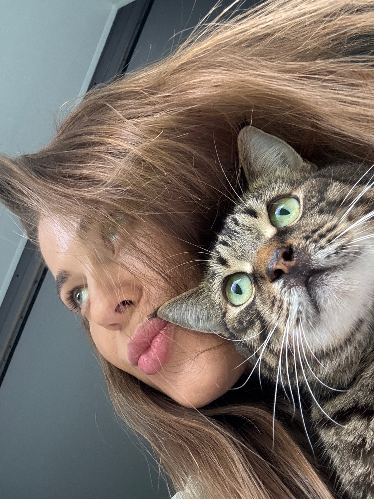 Woman Takes Selfies with Tabby Cat in Chernushka Russia