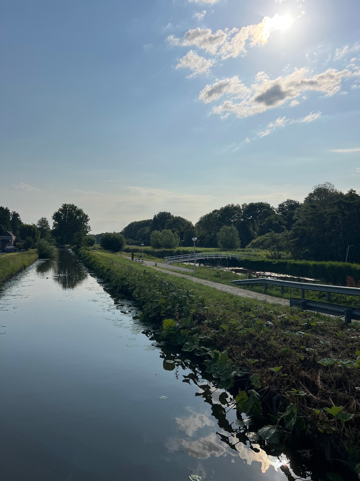 Sunny canal view through Delft's classic Dutch waterways