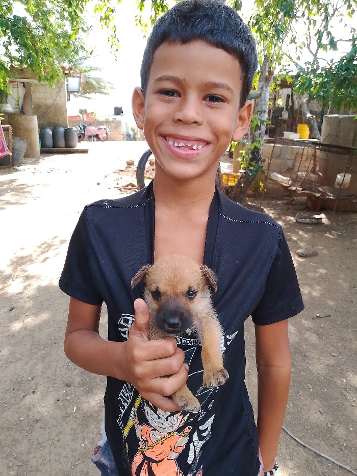 Everyday moments captured in Altagracia: boy with puppy, dove encounter