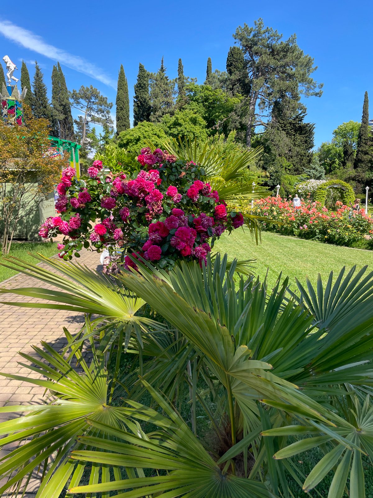 Tourist explores Sochi amusement park and gardens on sunny afternoon