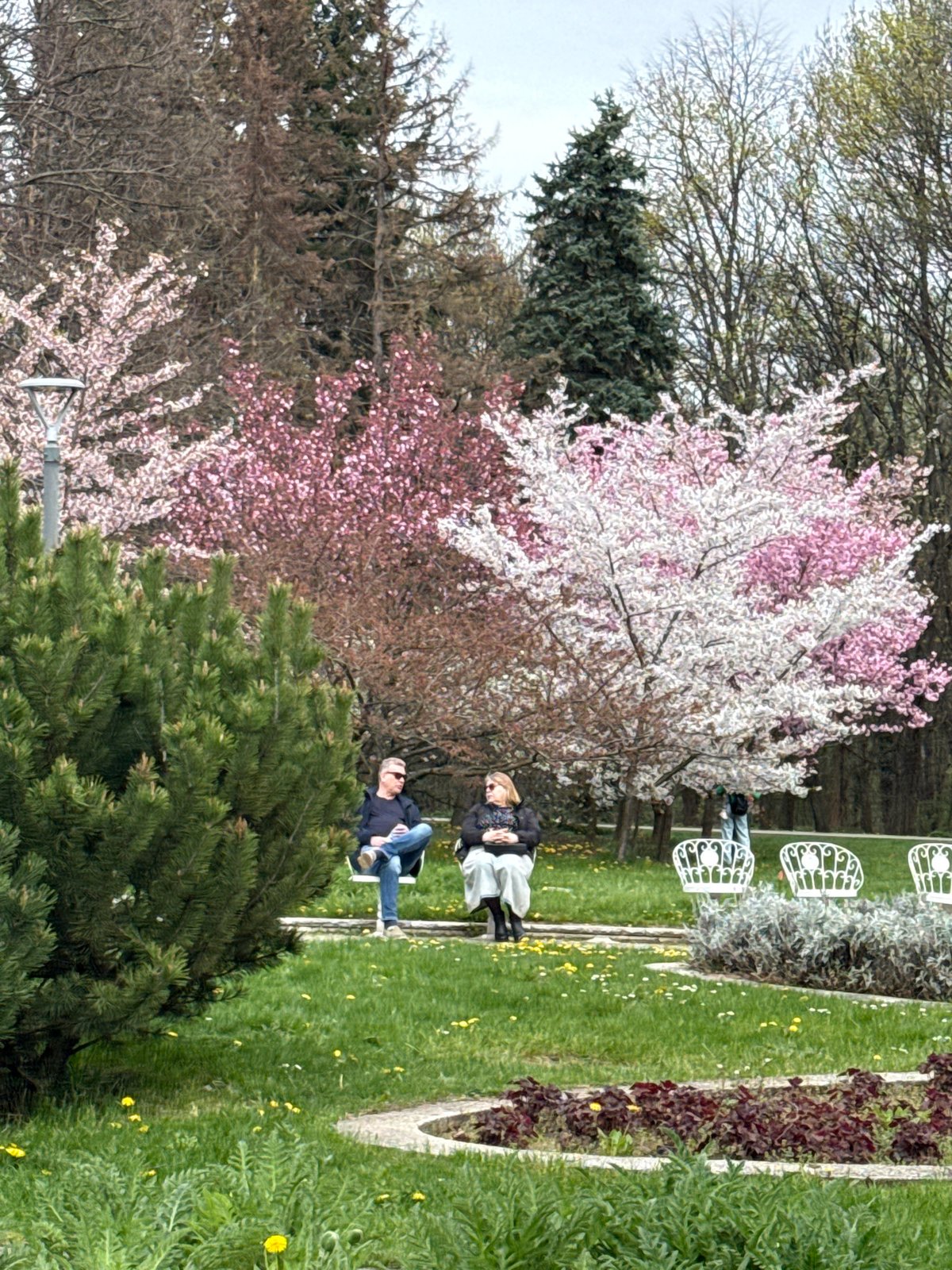 Spring Garden Scene Documented in Multiple Views