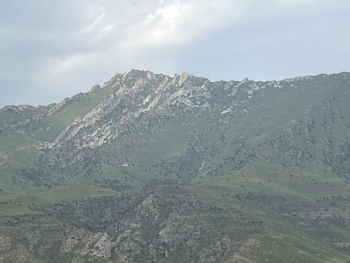 Wildflowers and mountain scenery in rural Kyrgyzstan