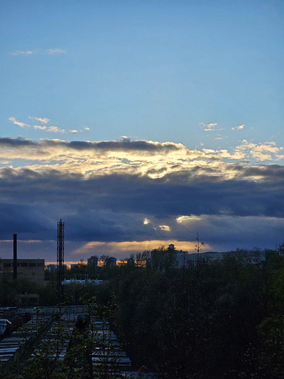 Sunset and cat captured in Khimki during evening hours