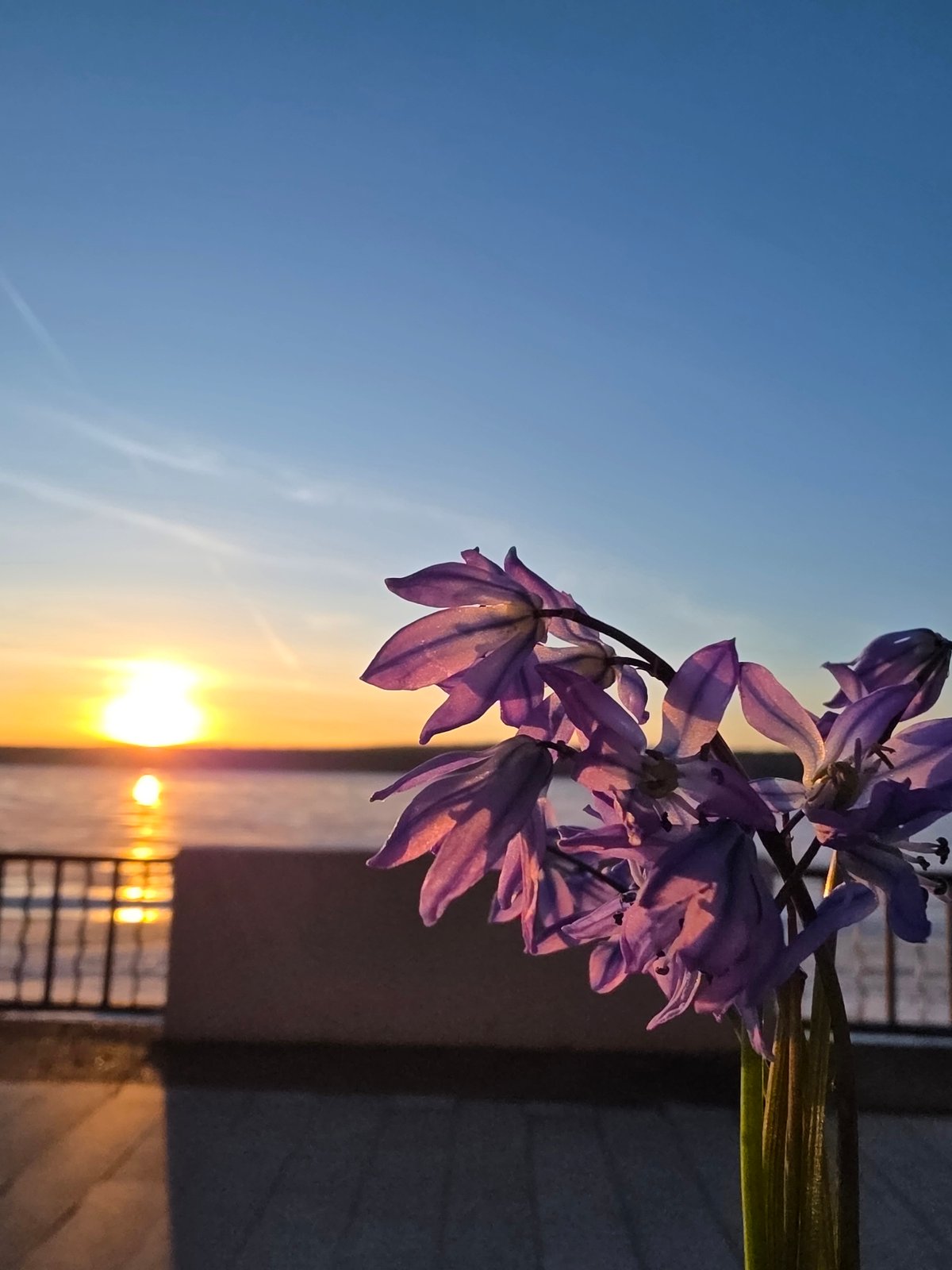 Sunset documented along Chaikovsky waterfront with flowers and swing
