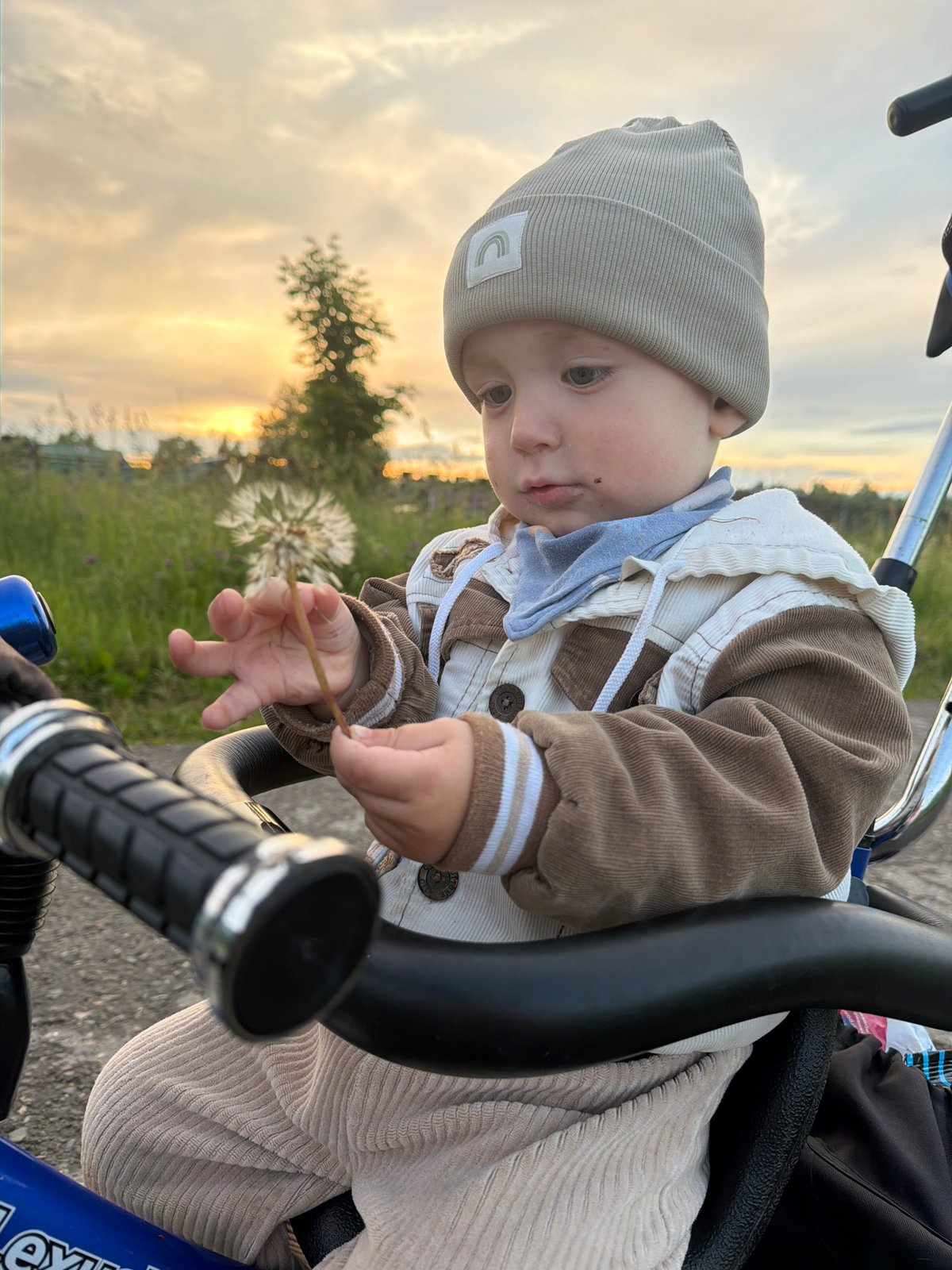 Stroller stop in Красный Маяк, dandelion in hand