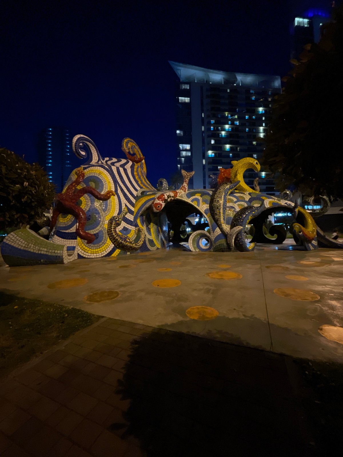 Evening dog walk documented in Batumi's illuminated hotel district