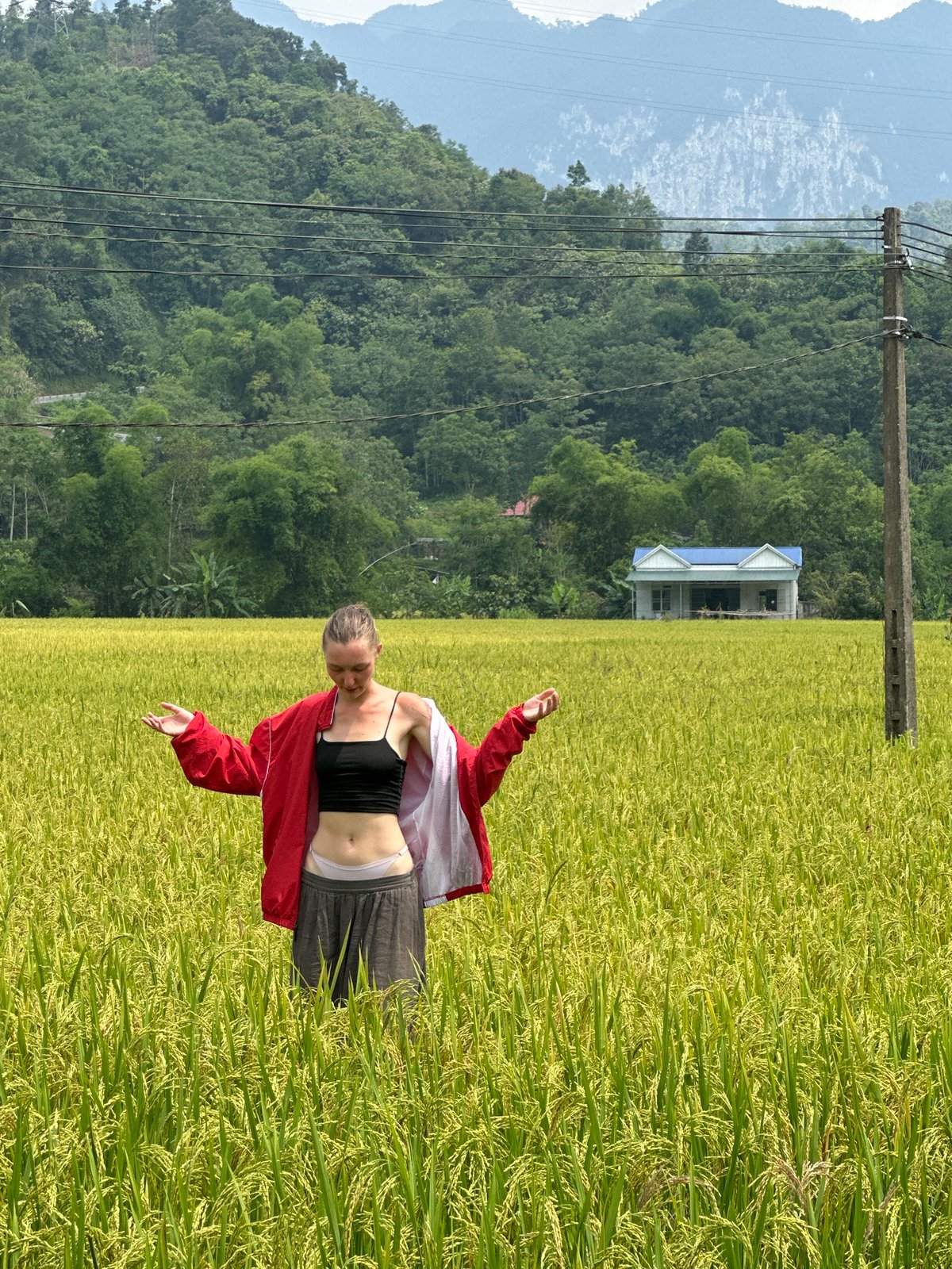Woman photographed in Vietnamese rice fields during morning visit