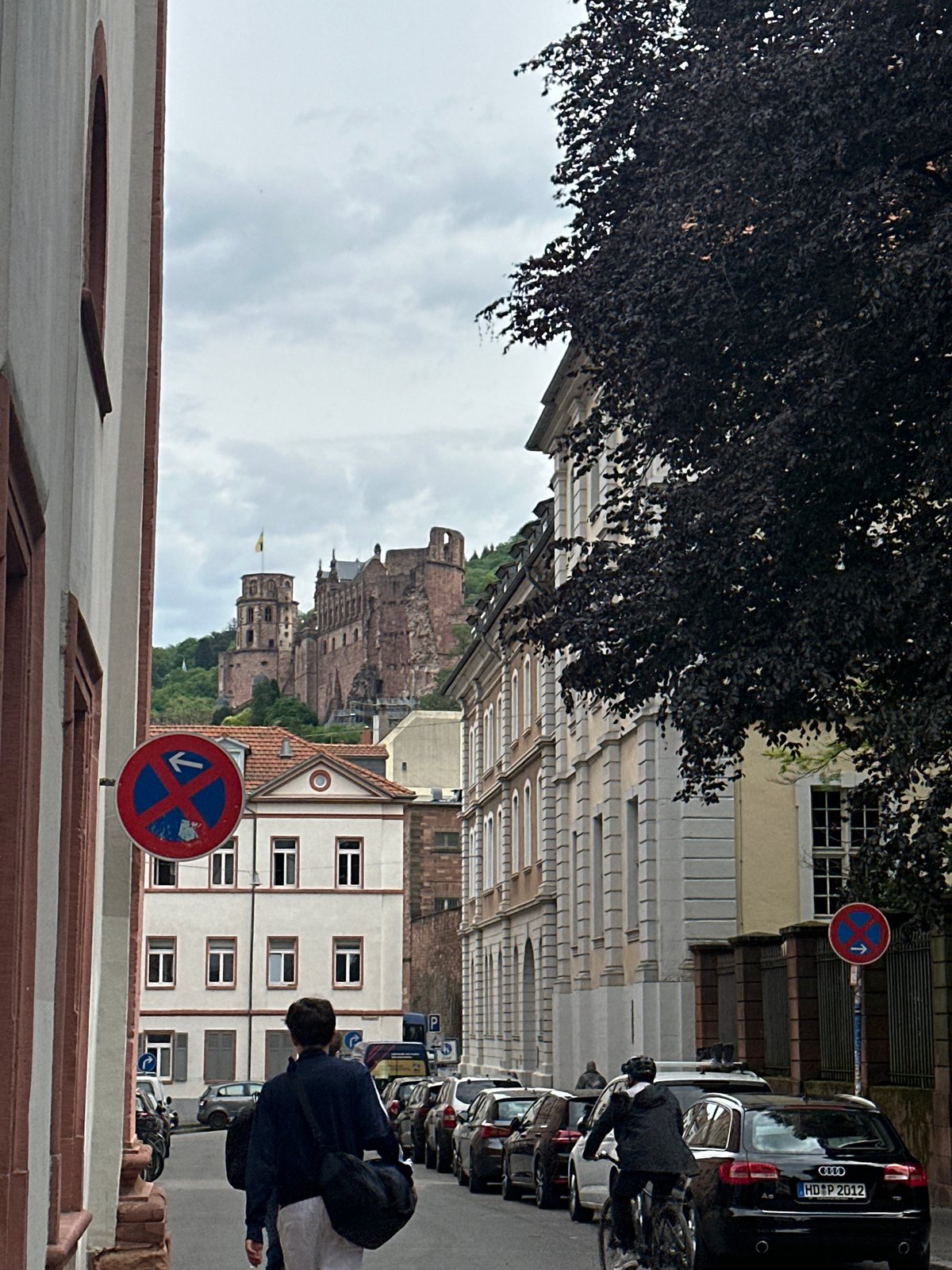 Morning street scenes documented across historic Heidelberg city center