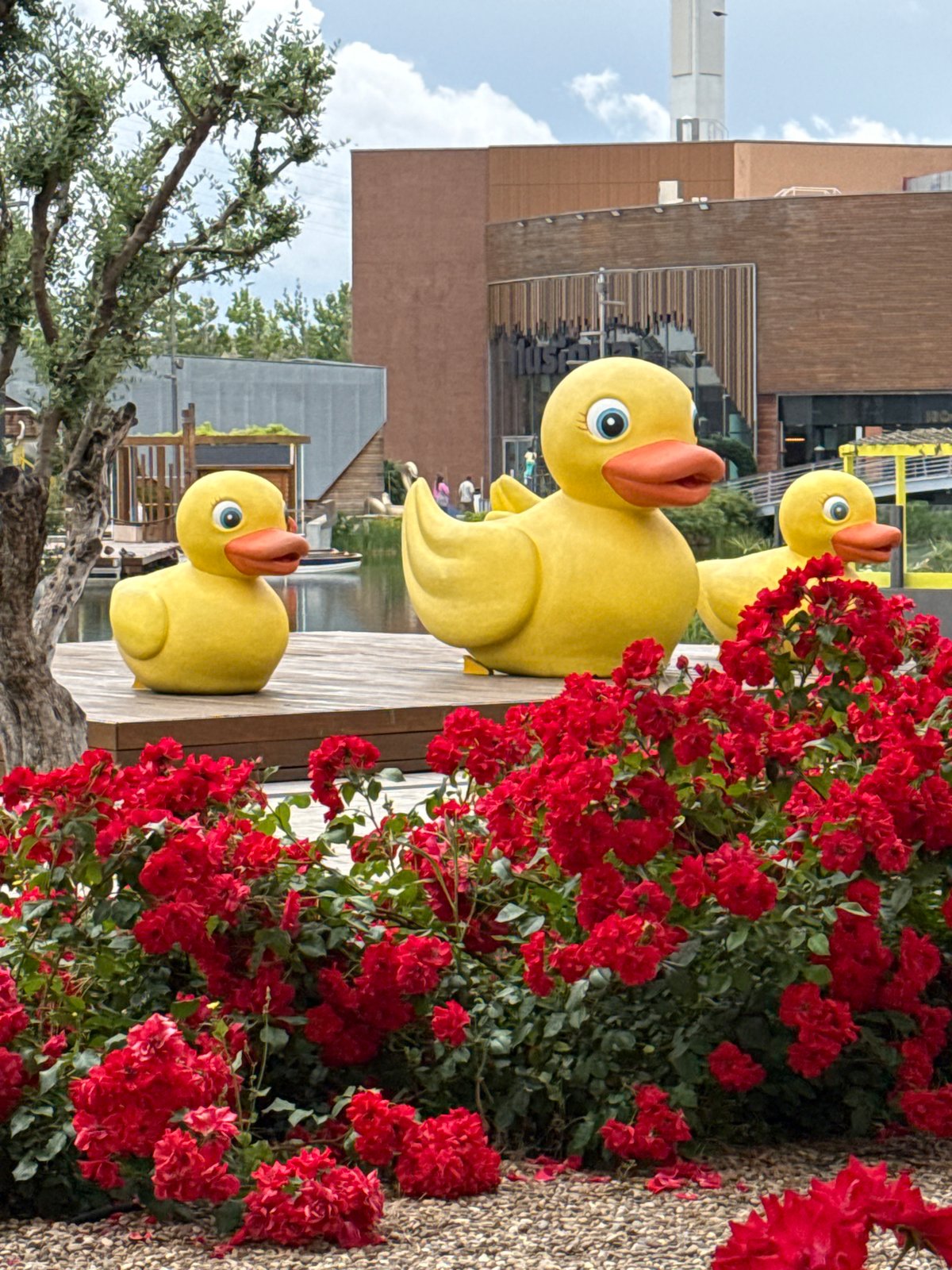 Art installation and pond life spotted in Zaragoza